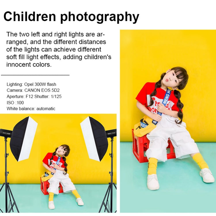 TRIOPO Oubao TTR300W Studio Flash with E27 150W Light Bulb - free shipping - PMC TechLife - Order now!