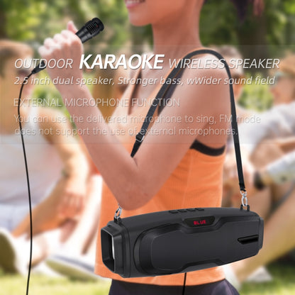 New Rixing NR-6012M Bluetooth 5.0 Portable Outdoor Karaoke Wireless Bluetooth Speaker with Microphone & Shoulder Strap(Green) - Desktop Speaker by NewRixing | Online Shopping South Africa | PMC Jewellery | Buy Now Pay Later Mobicred