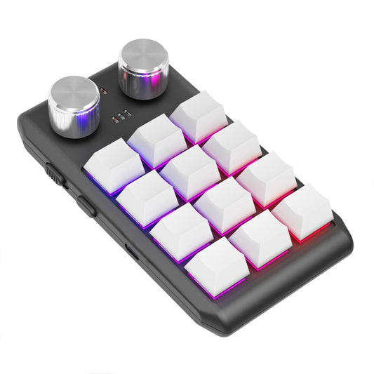 Bluetooth Wireless 12KV2 MOLD Mini Mechanical 12 Keys 2 Knob Custom Programming Keyboard(White) - Mini Keyboard by PMC Jewellery | Online Shopping South Africa | PMC Jewellery | Buy Now Pay Later Mobicred