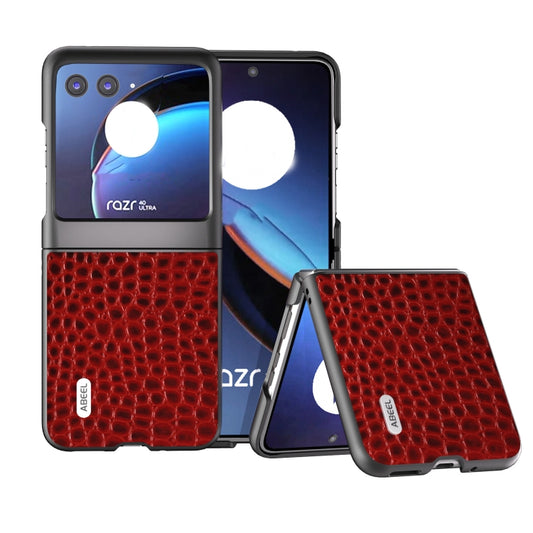 For Motorola Razr 40 Ultra ABEEL Genuine Leather Crocodile Pattern Black Edge Phone Case(Red) - Motorola Cases by PMC Jewellery | Online Shopping South Africa | PMC Jewellery | Buy Now Pay Later Mobicred