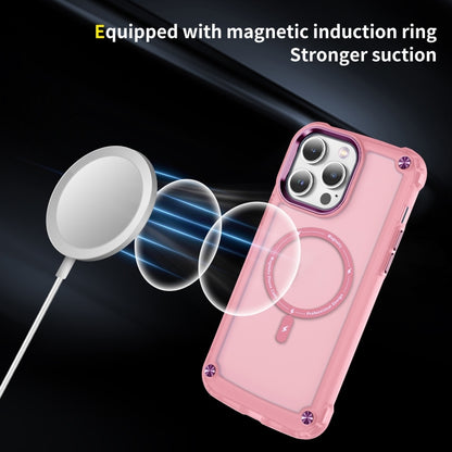 For iPhone 16 Pro Max Skin Feel TPU + PC MagSafe Magnetic Phone Case(Transparent Pink) - iPhone 16 Pro Max Cases by PMC Jewellery | Online Shopping South Africa | PMC Jewellery | Buy Now Pay Later Mobicred