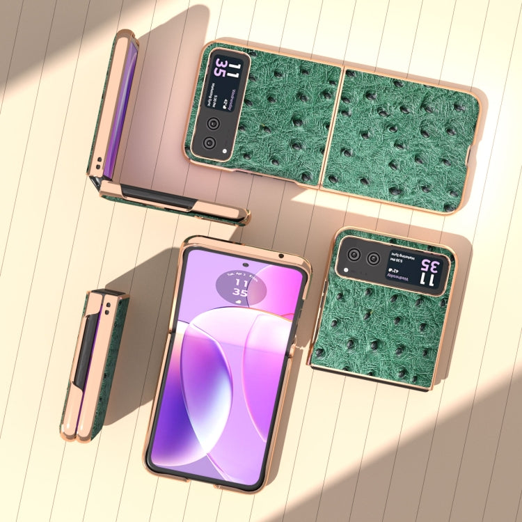 For Motorola Razr 40 Nano Plating Genuine Leather Ostrich Texture Phone Case(Green) - Motorola Cases by PMC TechLife | Online Shopping South Africa | PMC TechLife | Buy Now Pay Later Mobicred