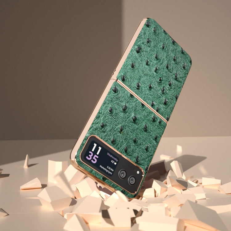 For Motorola Razr 40 Nano Plating Genuine Leather Ostrich Texture Phone Case(Green) - Motorola Cases by PMC TechLife | Online Shopping South Africa | PMC TechLife | Buy Now Pay Later Mobicred