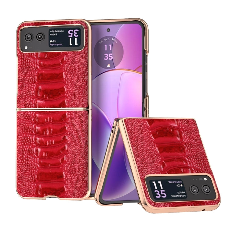For Motorola Razr 40 Nano Plating Genuine Leather Weilai Series Phone Case(Red) - Motorola Cases by PMC TechLife | Online Shopping South Africa | PMC TechLife | Buy Now Pay Later Mobicred