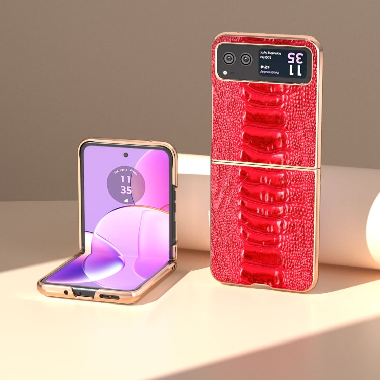 For Motorola Razr 40 Nano Plating Genuine Leather Weilai Series Phone Case(Red) - Motorola Cases by PMC TechLife | Online Shopping South Africa | PMC TechLife | Buy Now Pay Later Mobicred