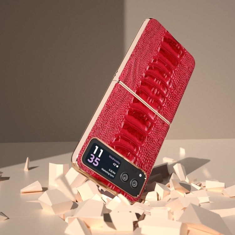 For Motorola Razr 40 Nano Plating Genuine Leather Weilai Series Phone Case(Red) - Motorola Cases by PMC TechLife | Online Shopping South Africa | PMC TechLife | Buy Now Pay Later Mobicred