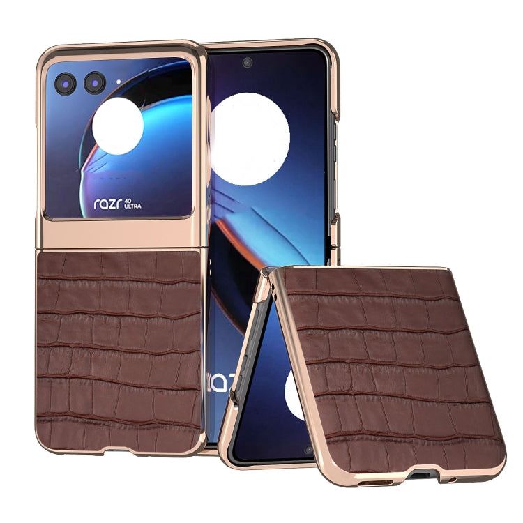 For Motorola Razr 40 Ultra Crocodile Texture Genuine Leather Phone Case(Coffee) - Motorola Cases by PMC Jewellery | Online Shopping South Africa | PMC Jewellery | Buy Now Pay Later Mobicred