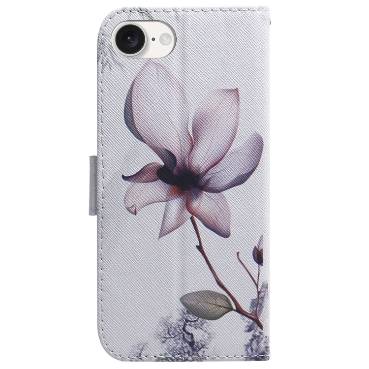 For iPhone SE 2024 Coloured Drawing Flip Leather Phone Case(Magnolia) - More iPhone Cases by PMC Jewellery | Online Shopping South Africa | PMC Jewellery | Buy Now Pay Later Mobicred