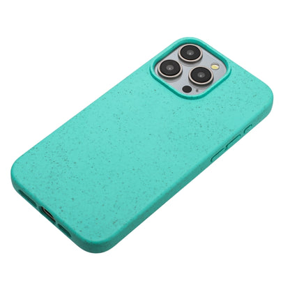 For iPhone 15 Pro Max Wheat MagSafe Magnetic Straw Material + TPU Phone Case(Green) - iPhone 15 Pro Max Cases by PMC Jewellery | Online Shopping South Africa | PMC Jewellery