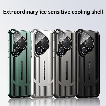 For Huawei Pura 70 Ice Sense Heat Dissipation Electroplating Frosted Phone Case(Black) - Huawei Cases by PMC Jewellery | Online Shopping South Africa | PMC Jewellery | Buy Now Pay Later Mobicred