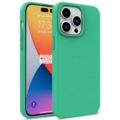 For iPhone 16 Pro Max Wheat Straw TPU Phone Case(Green) - iPhone 16 Pro Max Cases by PMC Jewellery | Online Shopping South Africa | PMC Jewellery | Buy Now Pay Later Mobicred