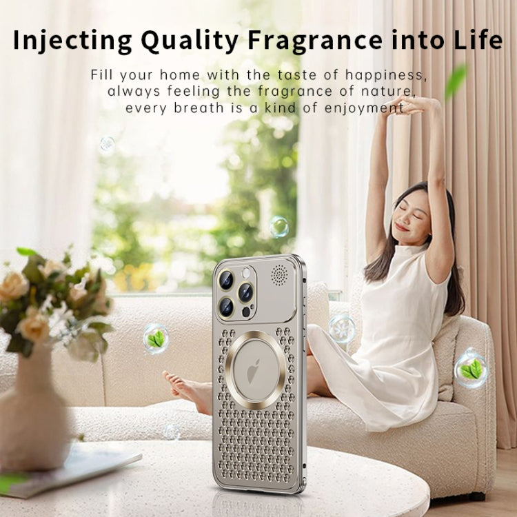 For iPhone 16 Pro Max Spring Buckle MagSafe Magnetic Metal Aromatherapy Phone Case(Silver) - free shipping - PMc TechLife - Order now!