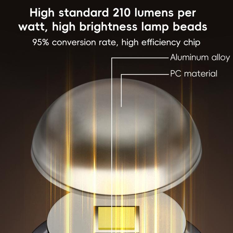 EDA0077166_B2.jpg@71b2420796d7fd1167df3f7bd434303a