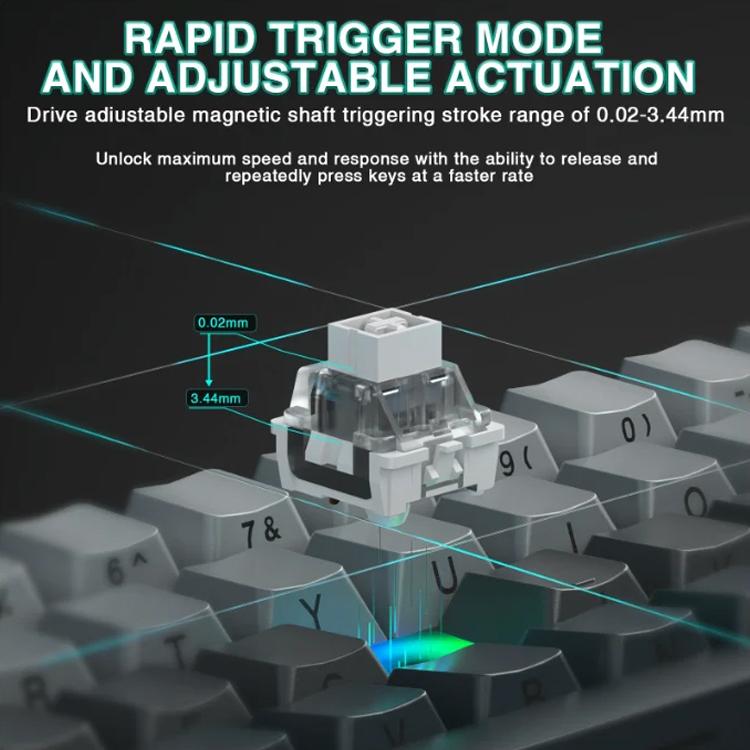 EDA008878801A_5.jpg@6cfd0d91de3c7eacd3345d07f8db0a20