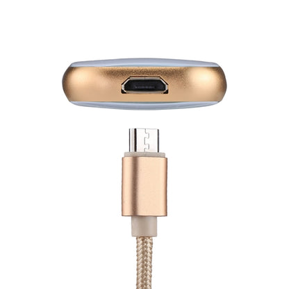 RQW-18S 8 Pin 64GB Multi-functional Flash Disk Drive with USB / Micro USB to Micro USB Cable(Gold) - U Disk & Card Reader by PMC Jewellery | Online Shopping South Africa | PMC Jewellery | Buy Now Pay Later Mobicred