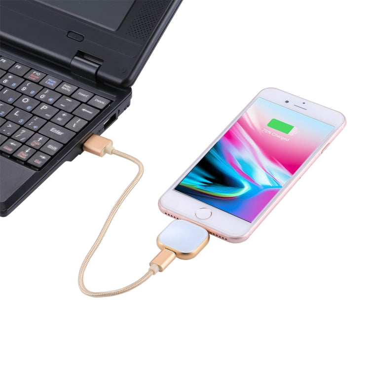 RQW-18S 8 Pin 128GB Multi-functional Flash Disk Drive with USB / Micro USB to Micro USB Cable(Gold) - U Disk & Card Reader by PMC Jewellery | Online Shopping South Africa | PMC Jewellery | Buy Now Pay Later Mobicred