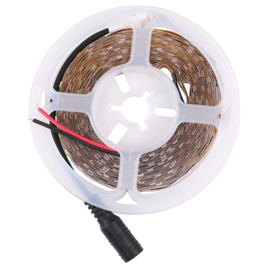 Bare Board 2835 SMD Dimmable White Light / Warm Light LED Rope Light, 60 LED/m, Length: 5m, 12V 2A 100-240V(EU Plug) - Bare Board Light by PMC Jewellery | Online Shopping South Africa | PMC Jewellery | Buy Now Pay Later Mobicred