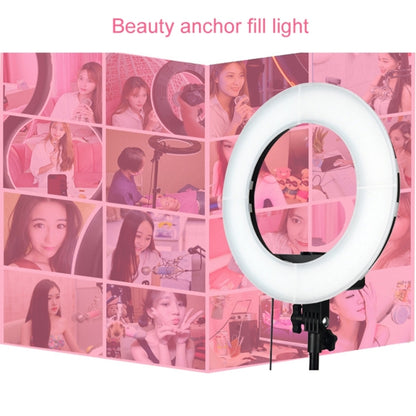 12 Inch Anchor Photography Self-timer LED Ring Fill-in Light - Ring Light by PMC Jewellery | Online Shopping South Africa | PMC Jewellery | Buy Now Pay Later Mobicred