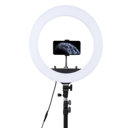 18 inch 55W Two-speed Dimmable Anchor Photography Self-timer LED Ring Fill-in Light with Tripod - Ring Light by PMC Jewellery | Online Shopping South Africa | PMC Jewellery | Buy Now Pay Later Mobicred