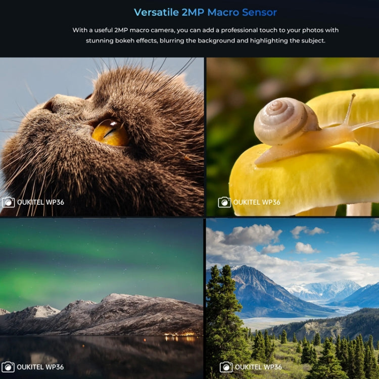 Oukitel WP36 Pro, 6GB+256GB, IP68/IP69K, Fingerprint Identification, 10600mAh, 6.52 inch MediaTek MT8788 Octa Core, NFC, OTG, Network: 4G (Black) - OUKITEL by OUKITEL | Online Shopping South Africa | PMC Jewellery | Buy Now Pay Later Mobicred