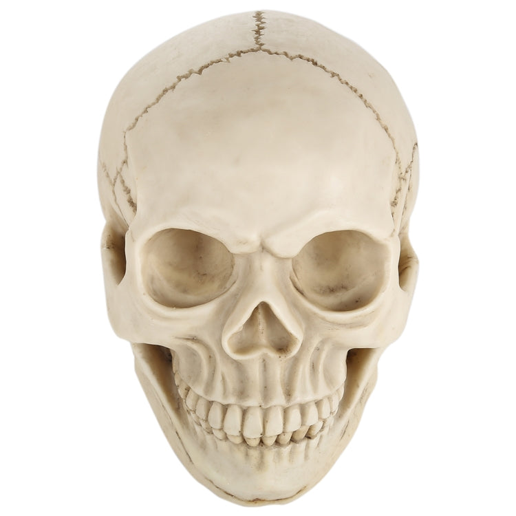 Skull Head Hallowmas Prop Gadget Display, Size: 19(L) x 13(W) x 14cm(H)(White) - Halloween Prop Decorations by PMC Jewellery | Online Shopping South Africa | PMC Jewellery | Buy Now Pay Later Mobicred