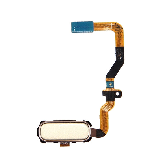 For Galaxy S7 / G930 Home Button Flex Cable(Gold) - Galaxy S Series Parts by PMC Jewellery | Online Shopping South Africa | PMC Jewellery | Buy Now Pay Later Mobicred