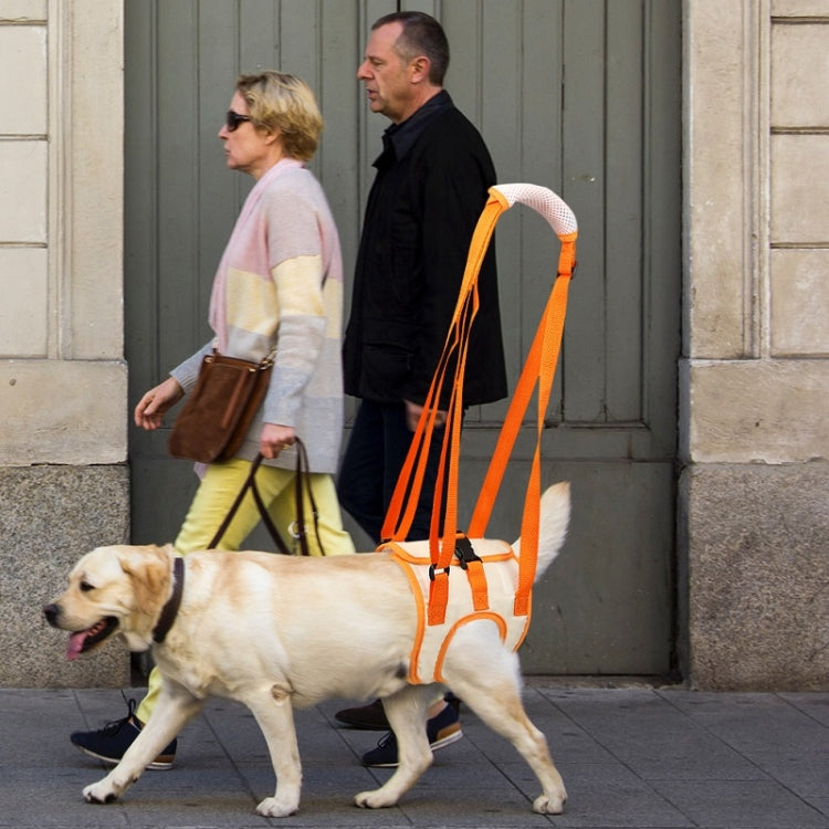 Pet Leash Assistive Belt For Postoperative Disabled Elderly Dogs Front Legs L - Leashes & Chest Strap by PMC TechLife | Online Shopping South Africa | PMC TechLife | Buy Now Pay Later Mobicred