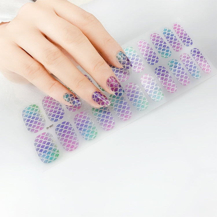 22 Fingers Shiny Onion Powder Starry Waterproof Nail Sticker(ZX-3024) - Nail Stickers by PMC Jewellery | Online Shopping South Africa | PMC Jewellery