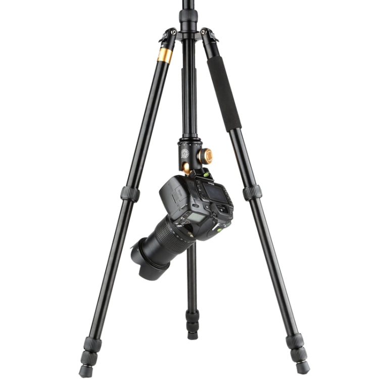 QingZhuangShiDai  Q999B Portable and Stable Photography SLR Digital Camera Tripod(Gold) - Tripods by QingZhuangShiDai | Online Shopping South Africa | PMC Jewellery | Buy Now Pay Later Mobicred