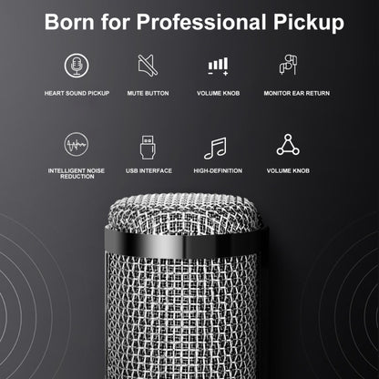 A9 USB Computer Phone Live Broadcast Microphone National K Song Recording Wired Microphone With Cantilever Stand - Microphone by PMC Jewellery | Online Shopping South Africa | PMC Jewellery | Buy Now Pay Later Mobicred