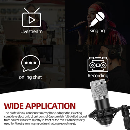 A9 USB Computer Phone Live Broadcast Microphone National K Song Recording Wired Microphone With Cantilever Stand - Microphone by PMC Jewellery | Online Shopping South Africa | PMC Jewellery | Buy Now Pay Later Mobicred