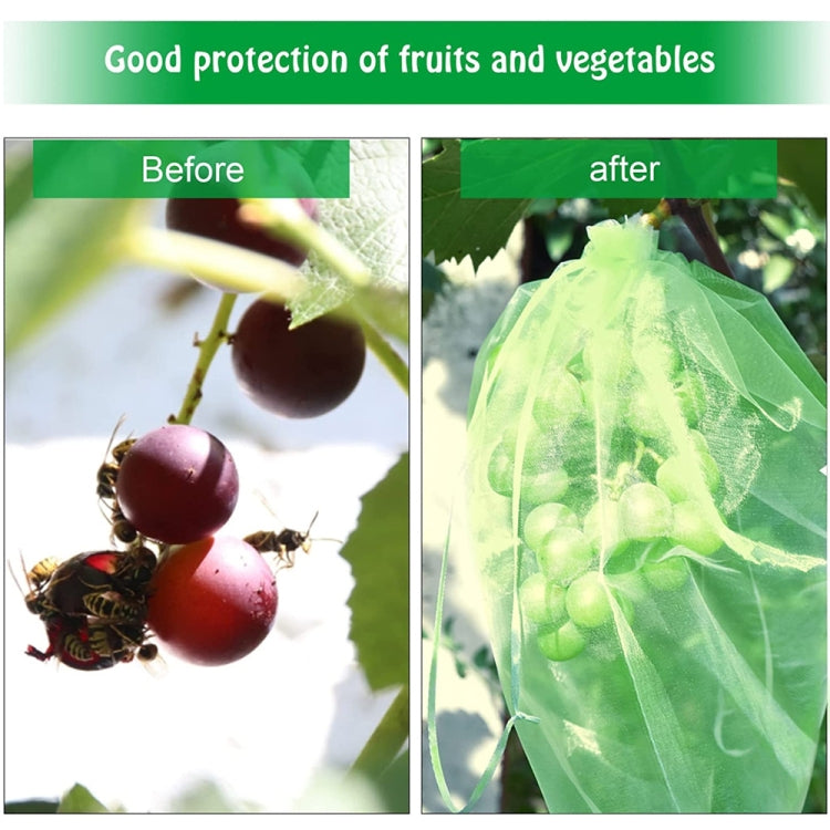 100pcs /Pack  Fruit Protection Bag Anti-Insect And Anti-Bird Net Bag 13 x 18cm(Gold) - Plant Support & Care by PMC Jewellery | Online Shopping South Africa | PMC Jewellery