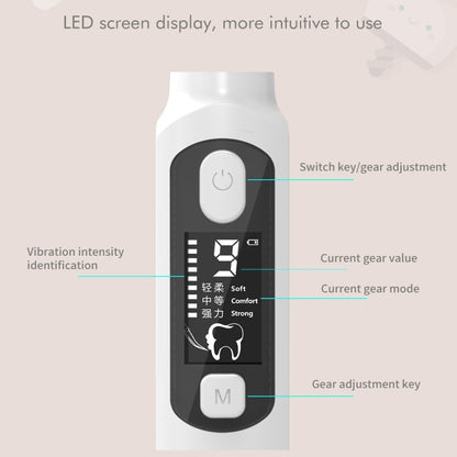 Ultrasonic Scaler Household Electric Dental Cleaner Tooth Scaling Machine(Standard Version) - Oral Irrigators by PMC Jewellery | Online Shopping South Africa | PMC Jewellery | Buy Now Pay Later Mobicred