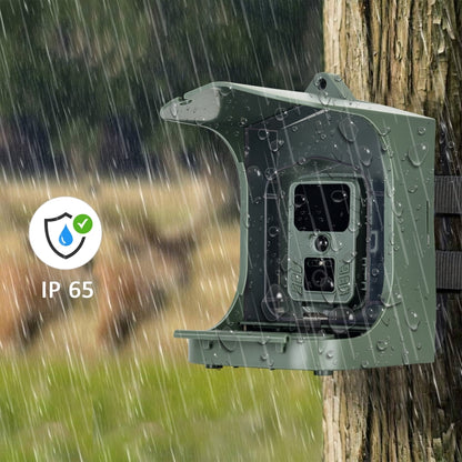 BC303 Bird Feeder Outdoor Trail Camera Bird Watching Camera With Motion Sensor(Army Green) - Hunting Cameras by PMC Jewellery | Online Shopping South Africa | PMC Jewellery