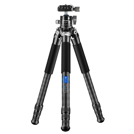 BEXIN RC254+LH-28 Carbon Fiber Portable Folding Tripod SLR Camera Low Gravity Center Gimbal Photography Bracket - Tripods by BEXIN | Online Shopping South Africa | PMC Jewellery | Buy Now Pay Later Mobicred