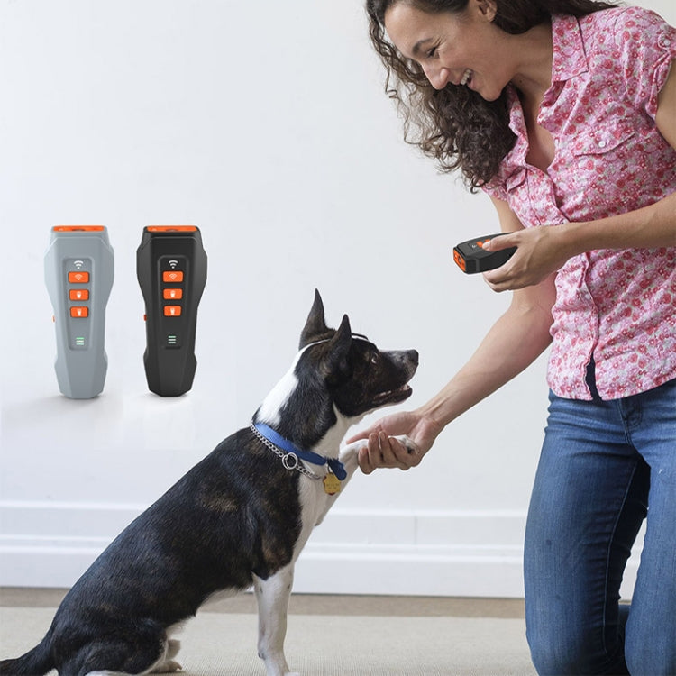 LED Flashing Light Handheld Ultrasonic Bark Arrester Frequency Conversion Dog Training Device(Dark Gray) - Training Aids by PMC Jewellery | Online Shopping South Africa | PMC Jewellery | Buy Now Pay Later Mobicred