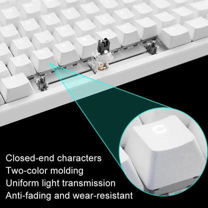 Rapoo V500DIY Mechanical Keyboard With Light Effect 18 Keys Hot Swap Fast Silver Shaft Desktop Laptop Wired Keyboard(White) - Wired Keyboard by Rapoo | Online Shopping South Africa | PMC Jewellery | Buy Now Pay Later Mobicred