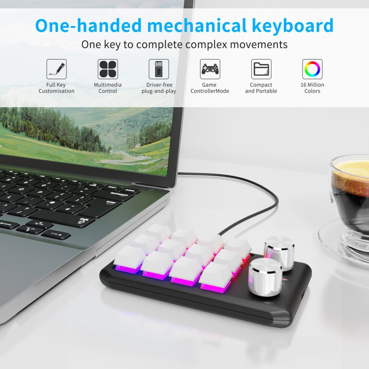 12 Keys Wired With RGB Lights Customized Office Keyboard Shortcut Keys Computer Audio Volume Control(White) - Mini Keyboard by PMC Jewellery | Online Shopping South Africa | PMC Jewellery | Buy Now Pay Later Mobicred