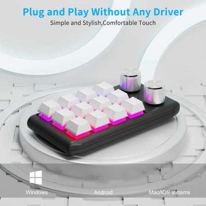 12 Keys Wired With RGB Lights Customized Office Keyboard Shortcut Keys Computer Audio Volume Control(Black) - Mini Keyboard by PMC Jewellery | Online Shopping South Africa | PMC Jewellery | Buy Now Pay Later Mobicred