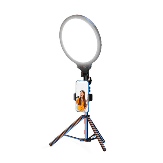 10.2 Inch Full-Screen Selfie Ring Light Tripod Set for Live Stream, Spec: 55cm Bracket - Selfie Light by PMC Jewellery | Online Shopping South Africa | PMC Jewellery | Buy Now Pay Later Mobicred