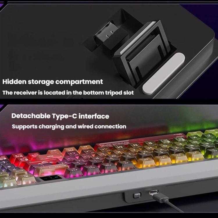 TBD06065454_B11.jpg@c4e327983afb84a146707435d86fb52c