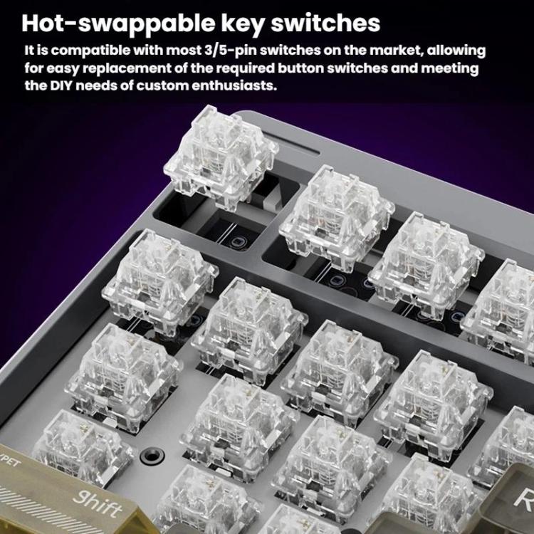 TBD06065454_B7.jpg@7681a308826df4e6aa70529b8697afda