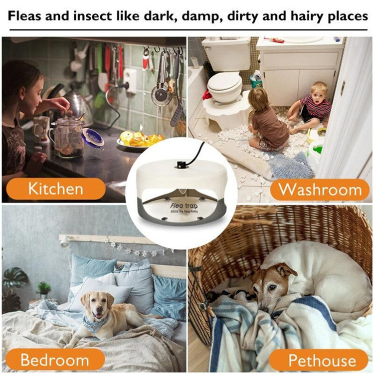 Flea Trap Pet Home Flea Lamp, Plug Type:EU Plug - Traps by PMC TechLife | Online Shopping South Africa | PMC TechLife | Buy Now Pay Later Mobicred