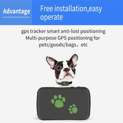 TK203 3G GPS / GPRS / GSM Personal / Goods /  Pet / Bag Locator Pet Collar Real-time Tracking Device - Pet Tracker by PMC Jewellery | Online Shopping South Africa | PMC Jewellery | Buy Now Pay Later Mobicred