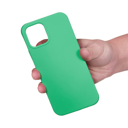 For iPhone 15 Solid Color Silicone Phone Case(Green) - iPhone 15 Cases by PMC Jewellery | Online Shopping South Africa | PMC Jewellery