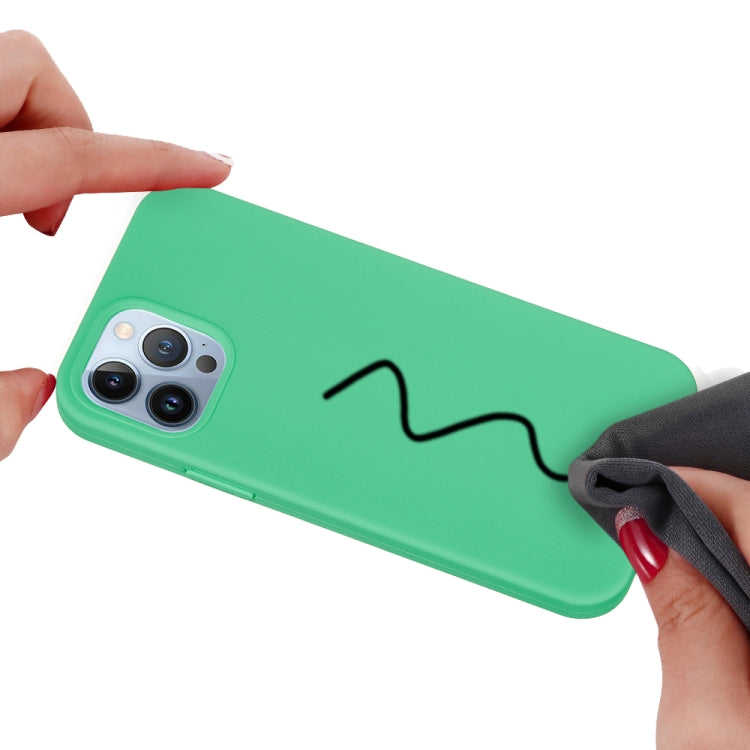 For iPhone 15 Pro Max Solid Color Silicone Phone Case(Green) - iPhone 15 Pro Max Cases by PMC TechLife | Online Shopping South Africa | PMC TechLife