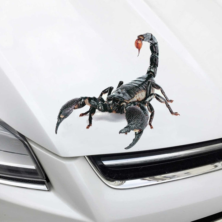 Creative Personality Scratch Cover  Car Body Sticker(Black Spider) - 3D Creative Stickers by PMC TechLife | Online Shopping South Africa | PMC TechLife | Buy Now Pay Later Mobicred