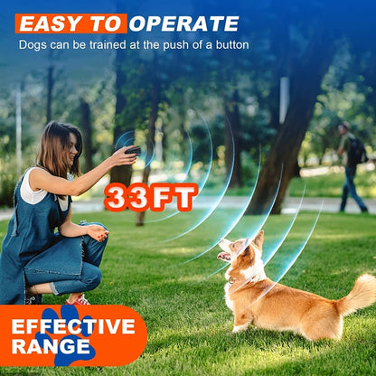 LED Flashlight Ultrasonic Dog Repeller Portable Dog Trainer, Colour: Double black(Colorful Package) - Training Aids by PMC Jewellery | Online Shopping South Africa | PMC Jewellery