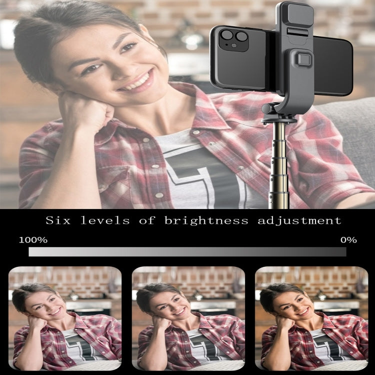 L03S Bluetooth Fill Light Tripod Integrated Selfie Stick(Black) - Selfie Sticks by PMC Jewellery | Online Shopping South Africa | PMC Jewellery